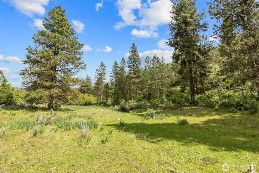 Property photo for 6750 Secret Canyon Road, Ellensburg photo 34