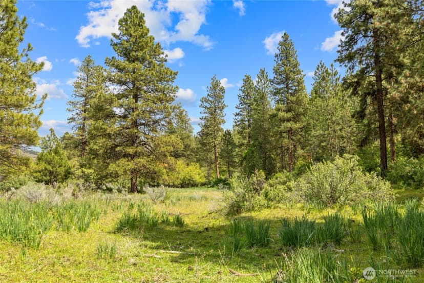 Property photo for 6750 Secret Canyon Road, Ellensburg photo 33