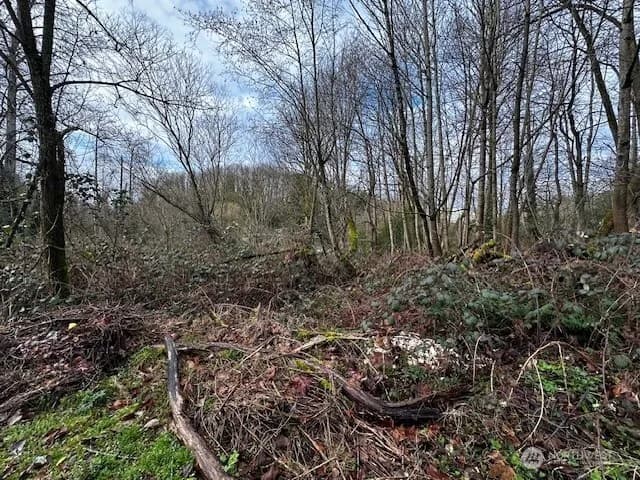Property photo for 123 47th Avenue S, Seattle photo 5