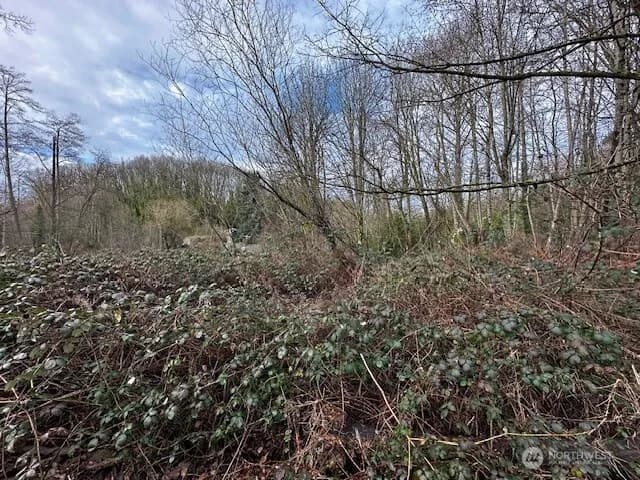 Property photo for 123 47th Avenue S, Seattle photo 3