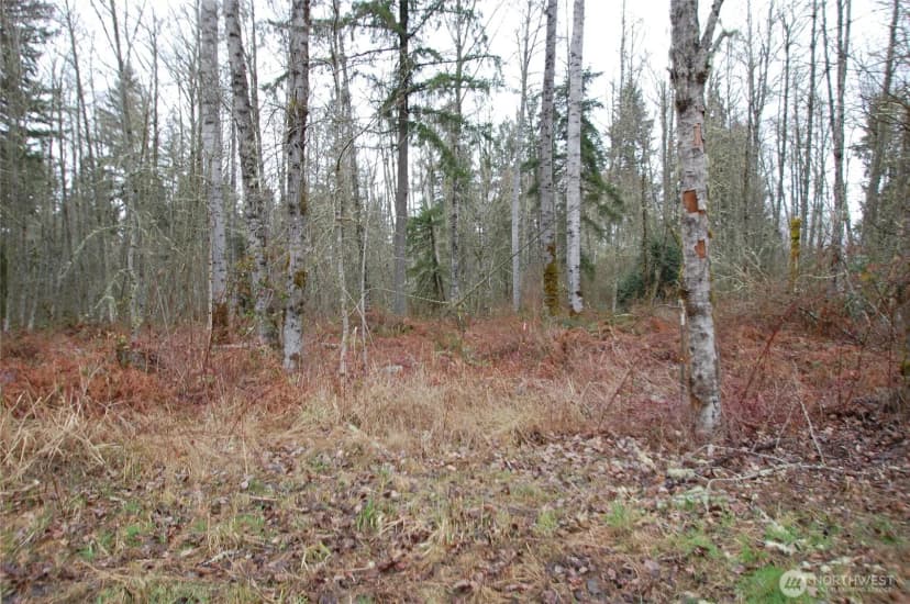 Property photo for 31809 116th Avenue E, Graham