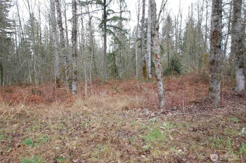 Property photo for 31809 116th Avenue E, Graham photo 9