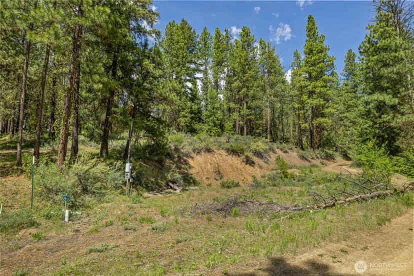 Property photo for 502 Harkness Road, Cle Elum photo 18