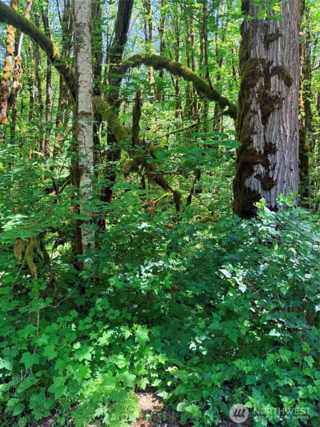 Property photo for 10204 Foss River Place Ne, Skykomish