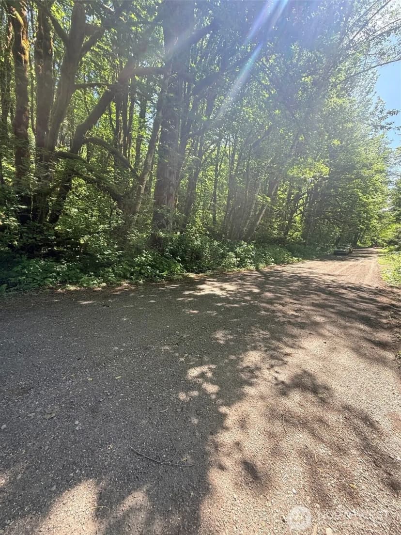 Property photo for 10204 Foss River Place Ne, Skykomish photo 4