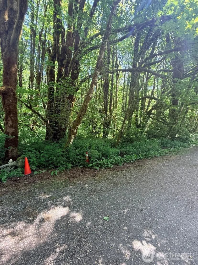 Property photo for 10204 Foss River Place Ne, Skykomish photo 3