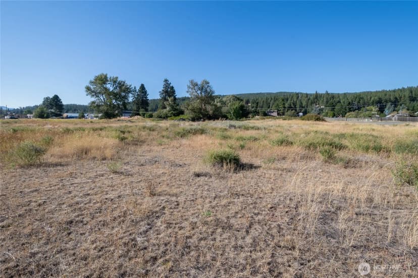 Property photo for 0 Sr 903, Cle Elum photo 8