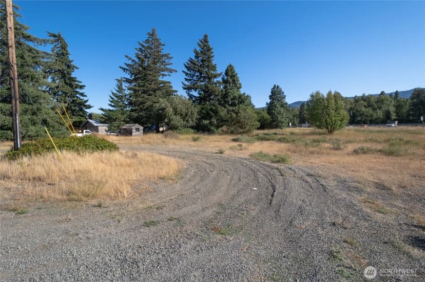 Property photo for 0 Sr 903, Cle Elum photo 9