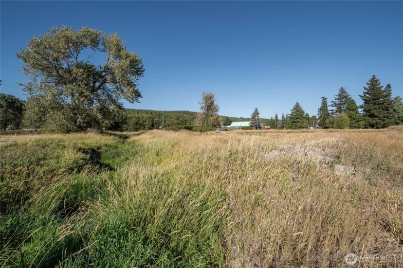 Property photo for 0 Sr 903, Cle Elum photo 7