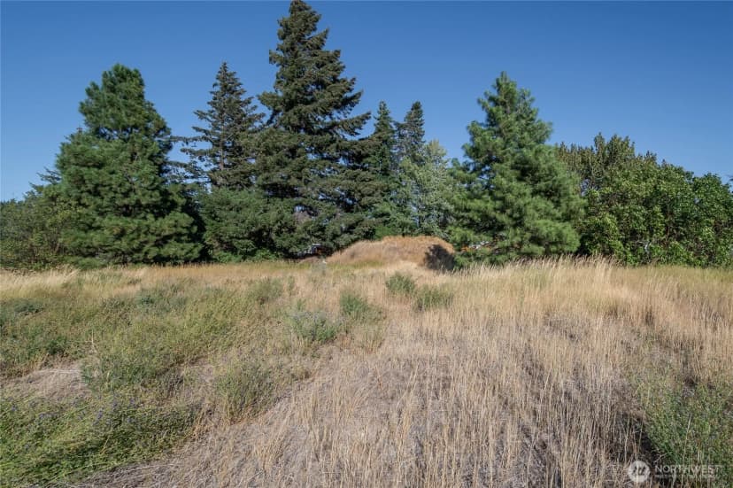 Property photo for 0 Sr 903, Cle Elum photo 10