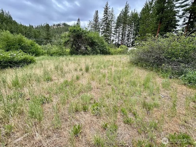 Property photo for 15425 Chumstick Highway, Leavenworth photo 2