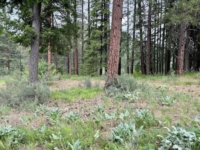Property photo for 15425 Chumstick Highway, Leavenworth photo 5
