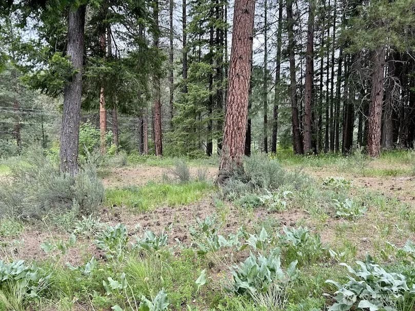 Property photo for 15425 Chumstick Highway, Leavenworth photo 5