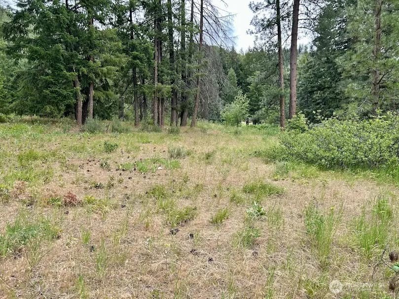 Property photo for 15425 Chumstick Highway, Leavenworth photo 8