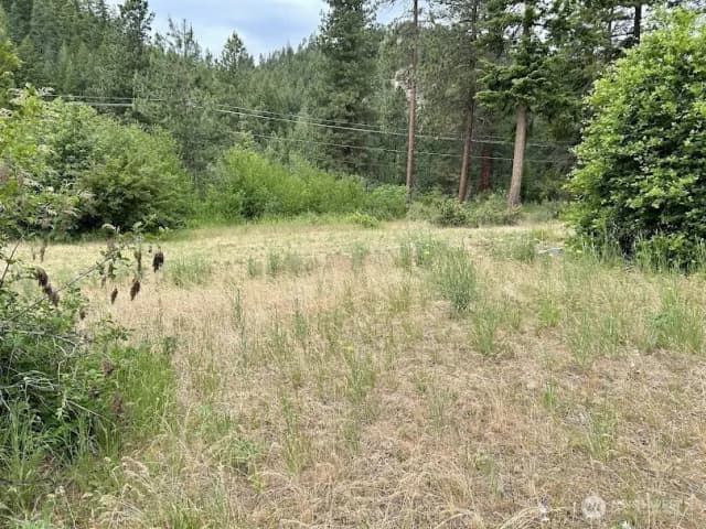 Property photo for 15425 Chumstick Highway, Leavenworth photo 3