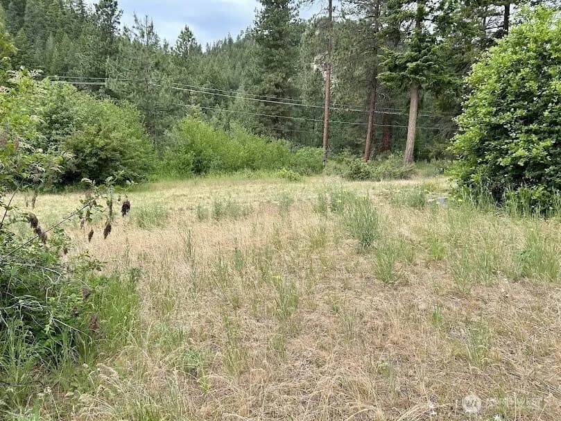Property photo for 15425 Chumstick Highway, Leavenworth photo 3