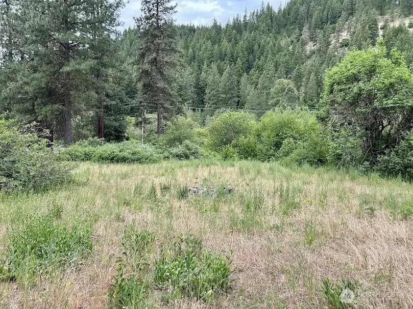 Property photo for 15425 Chumstick Highway, Leavenworth photo 27
