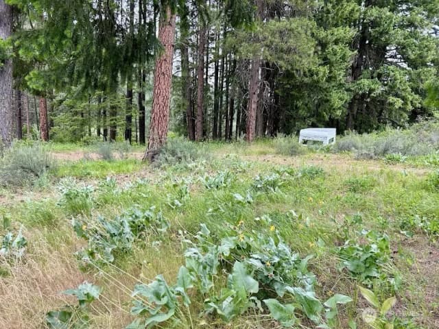 Property photo for 15425 Chumstick Highway, Leavenworth photo 4
