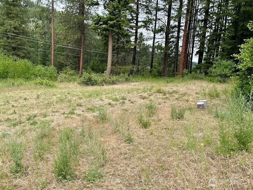 Property photo for 15425 Chumstick Highway, Leavenworth photo 7