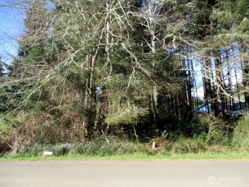Property photo for 111 Olympic View Avenue Ne, Ocean Shores photo 7