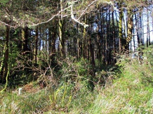 Property photo for 111 Olympic View Avenue Ne, Ocean Shores photo 2