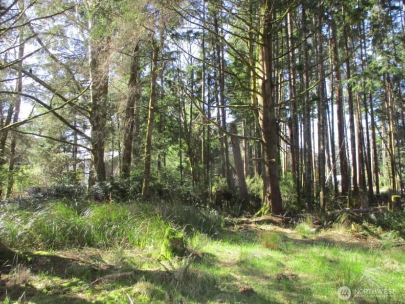 Property photo for 111 Olympic View Avenue Ne, Ocean Shores photo 6