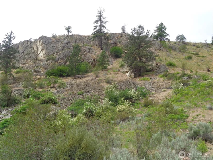 Property photo for 251 Spring Coulee Road, Okanogan photo 28
