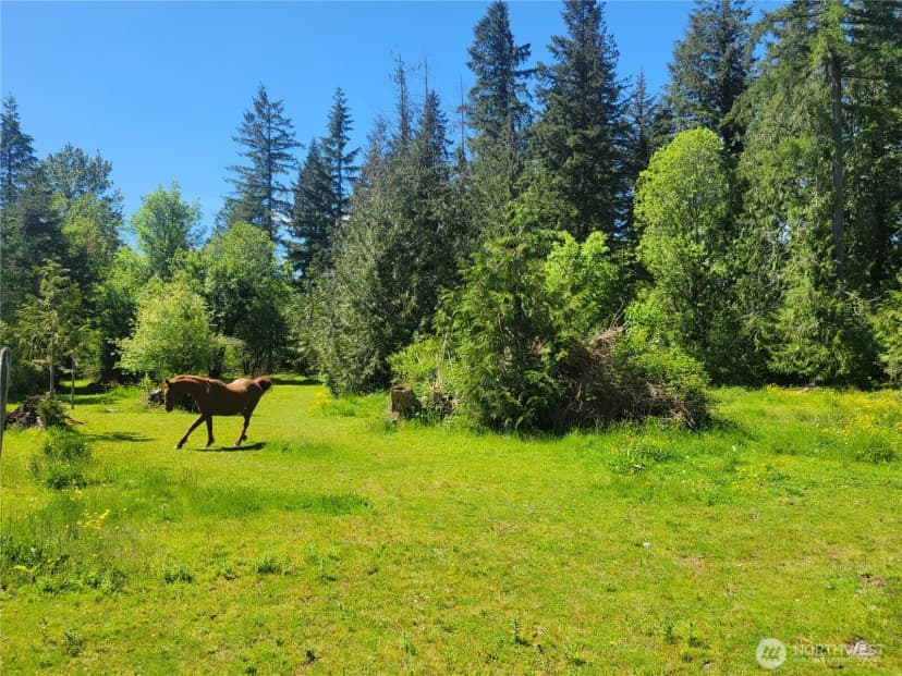 Property photo for 632 Meier Road, Winlock photo 10