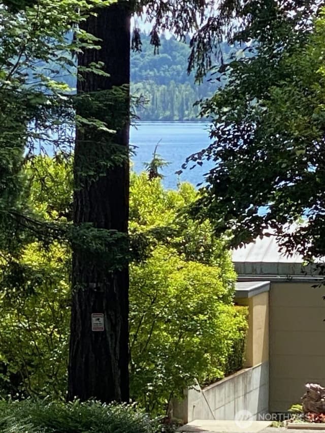 Property photo for 9100 Lake Washington Boulevard Ne, Bellevue photo 4