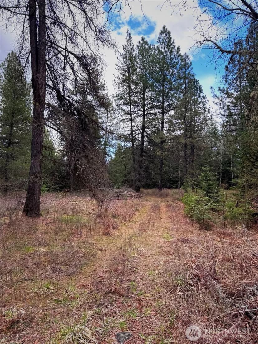 Property photo for 2 Xxxx E Eloika Lake Road, Deer Park photo 25