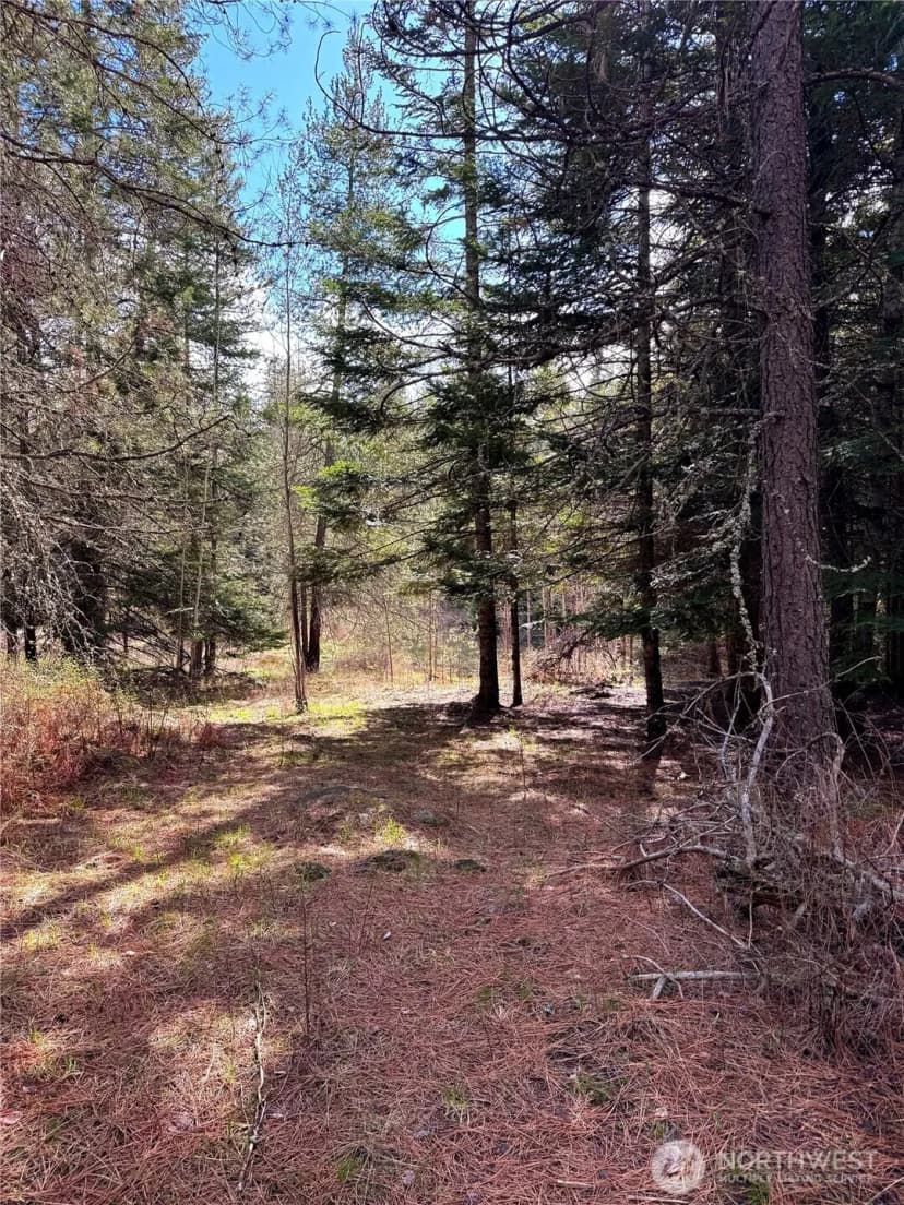 Property photo for 2 Xxxx E Eloika Lake Road, Deer Park photo 22