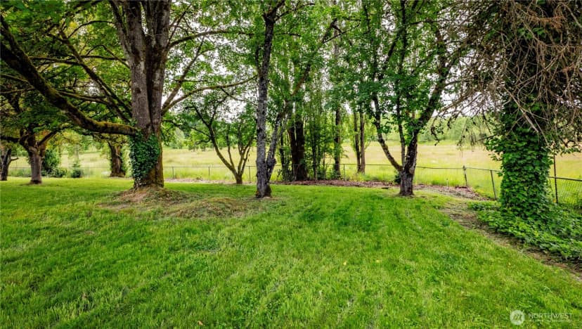 Property photo for 5027 Sleater Kinney Road Ne, Olympia photo 30