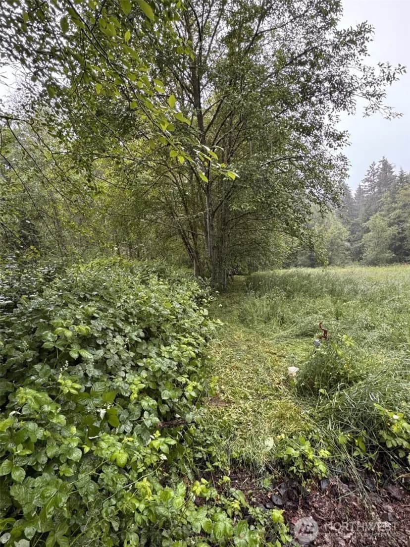 Property photo for 11920 198th Avenue Ne, Redmond photo 4