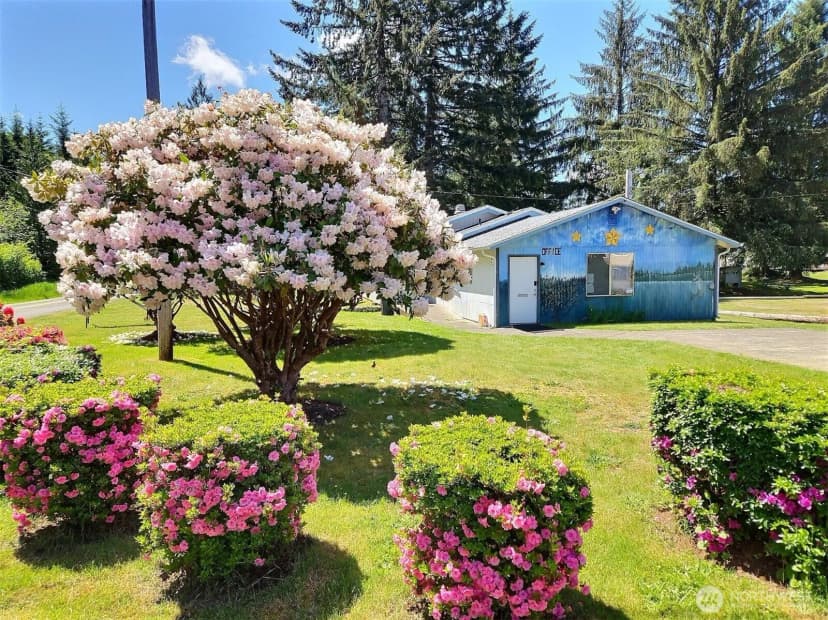 Property photo for 294 W Satsop Drive, Elma photo 14