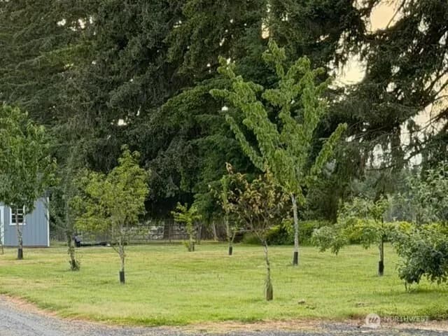 Property photo for 745 Tennessee Road, Winlock photo 31