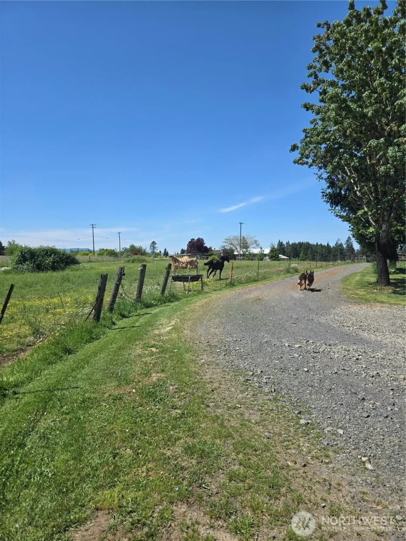 Property photo for 205 Nikula Road, Winlock photo 29