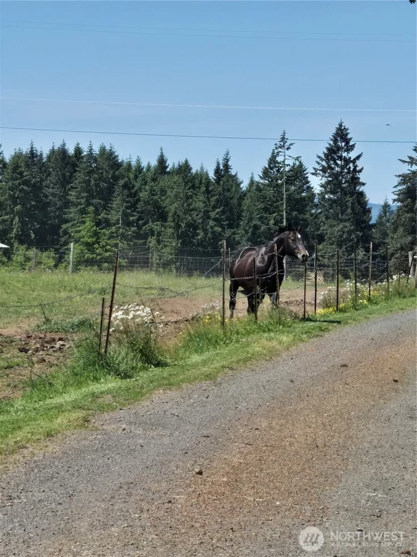Property photo for 205 Nikula Road, Winlock photo 31