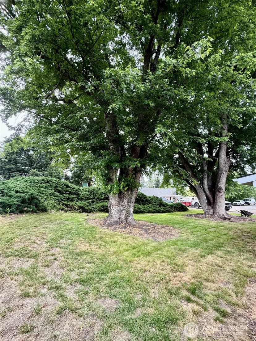 Property photo for 321 Bruce Street, Waitsburg photo 25