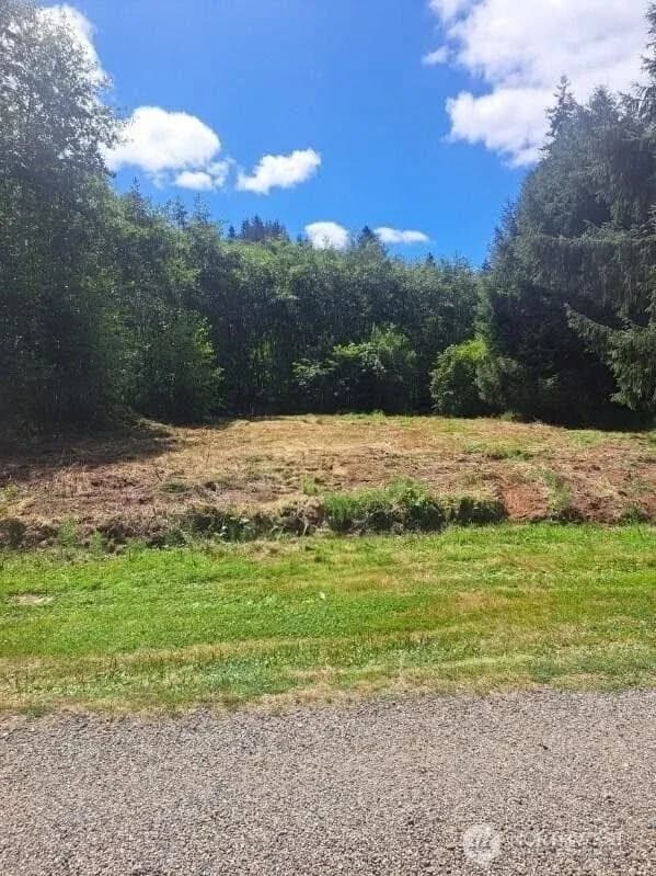 Property photo for 0 Xx E Cowlitz Street, South Bend photo 4
