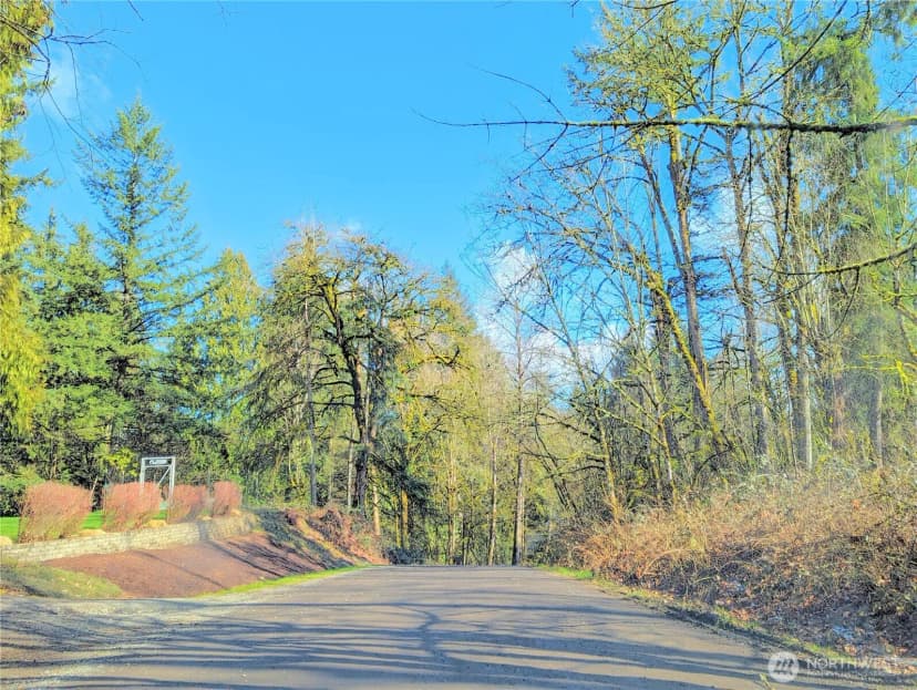 Property photo for 17400 Se 298th Street, Kent photo 18