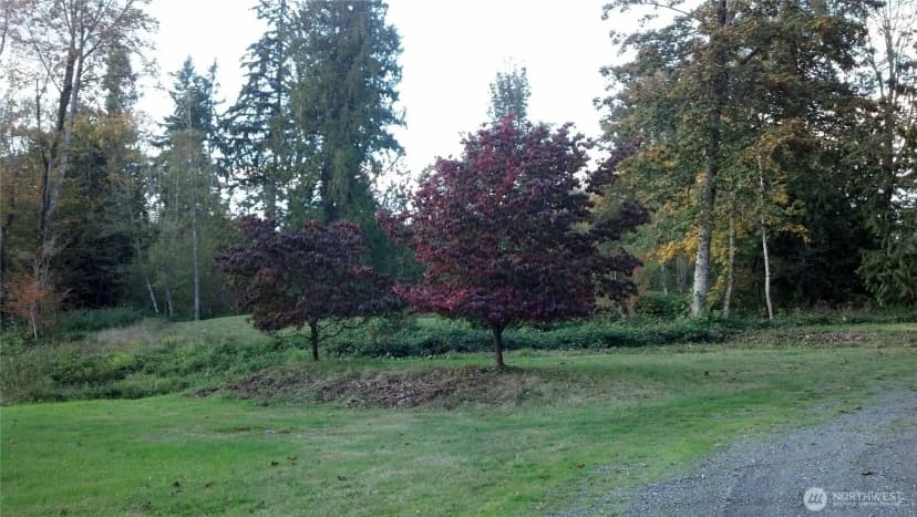 Property photo for 16345 Tiger Mountain Road Se, Issaquah photo 9