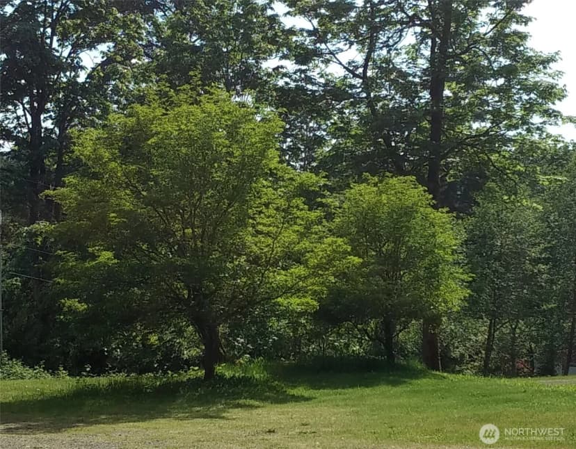 Property photo for 16345 Tiger Mountain Road Se, Issaquah photo 6
