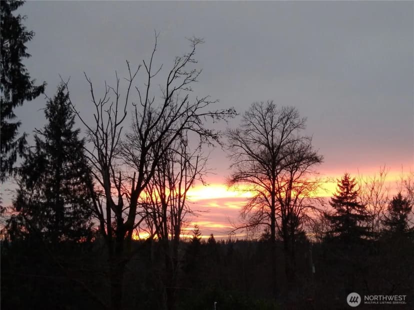 Property photo for 16345 Tiger Mountain Road Se, Issaquah photo 11
