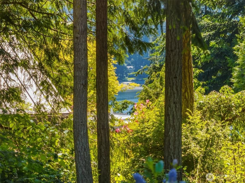 Property photo for 4560 Island Avenue, Bainbridge Island photo 32