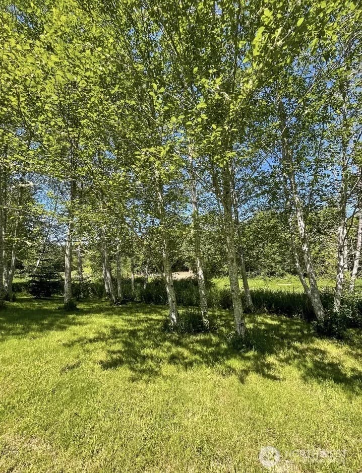 Property photo for 570 Elk Prairie Road, Raymond photo 37