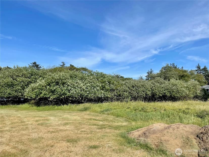 Property photo for 301 Octopus Avenue Ne, Ocean Shores photo 14