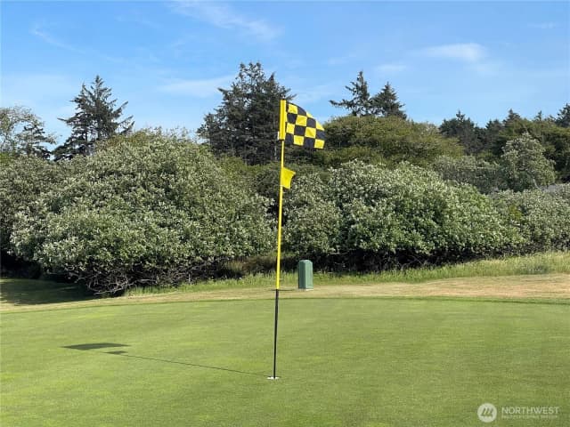 Property photo for 301 Octopus Avenue Ne, Ocean Shores photo 4
