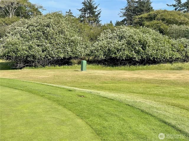Property photo for 301 Octopus Avenue Ne, Ocean Shores photo 5