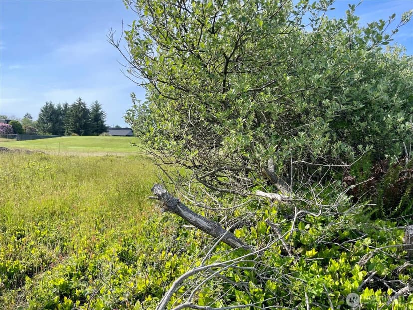 Property photo for 301 Octopus Avenue Ne, Ocean Shores photo 9