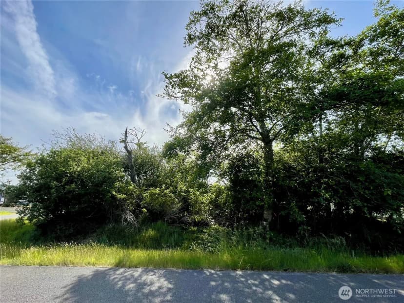 Property photo for 301 Octopus Avenue Ne, Ocean Shores photo 16